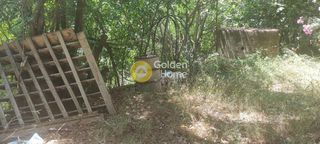 Κτίριο 63 τ.μ. προς πώληση, Αυλώνα Αττικής-thumb-20