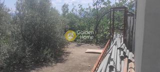 Κτίριο 63 τ.μ. προς πώληση, Αυλώνα Αττικής-thumb-25