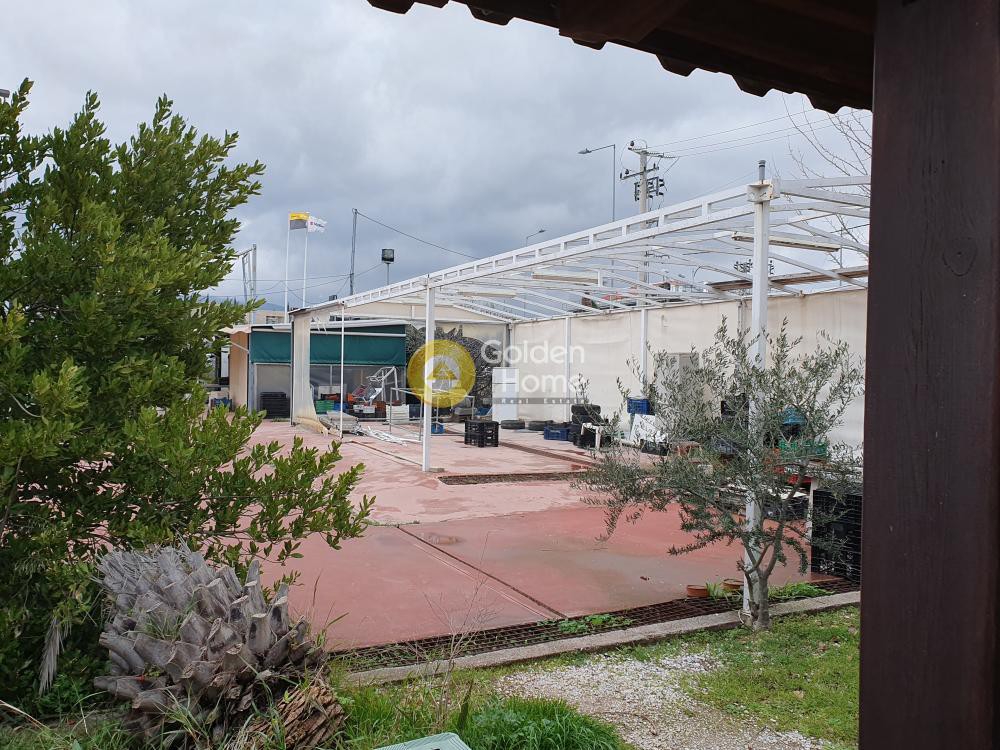 Οικόπεδο 1.250 τ.μ. προς πώληση, Μπάλανα