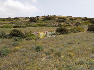 Αγροτεμάχια 8.751 τ.μ. για πώληση