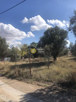 Οικόπεδο 868τ.μ. για πώληση-Παιανία » Άγιος ανδρέας