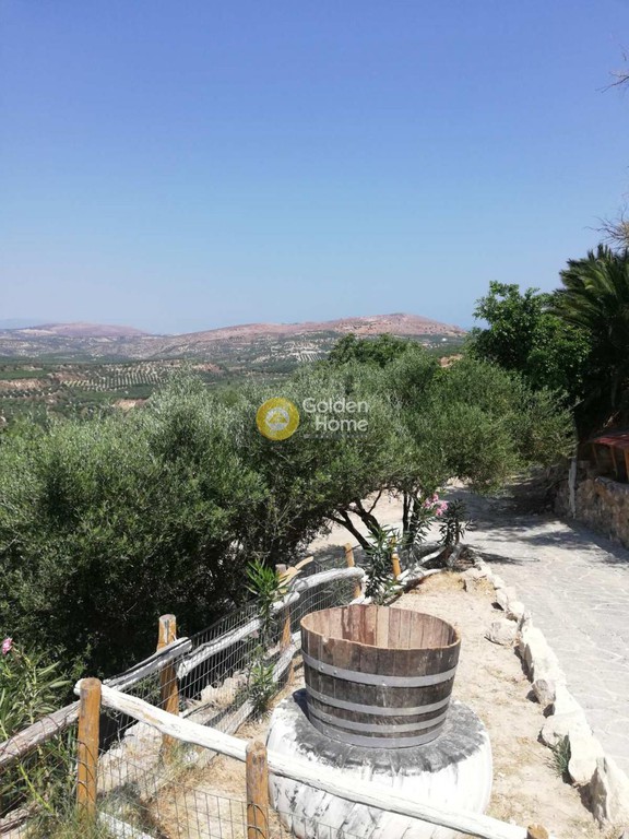 Αγροτεμάχια 6.500 τ.μ. προς πώληση, Επάνω Βάθεια