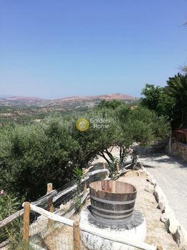 Αγροτεμάχια 6.500 τ.μ. για πώληση