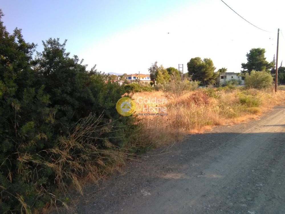 Οικόπεδο 1.032 τ.μ. προς πώληση, Χαλκούτσι
