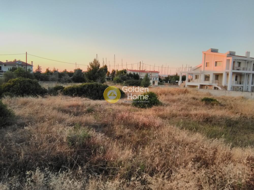 Οικόπεδο 1.032 τ.μ. προς πώληση, Χαλκούτσι