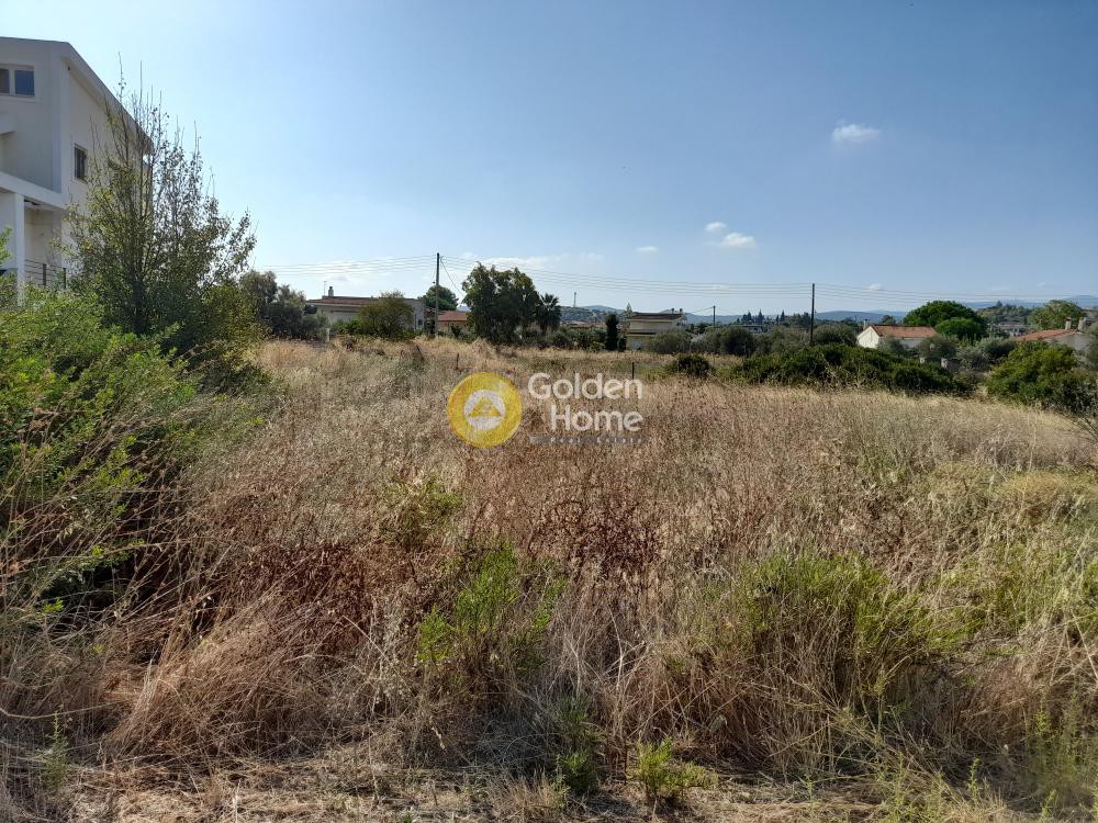 Οικόπεδο 1.032 τ.μ. προς πώληση, Χαλκούτσι