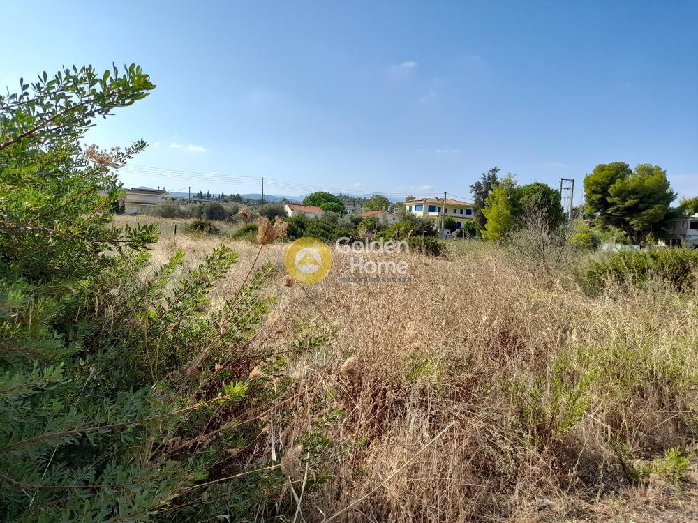 Οικόπεδο 1.032 τ.μ. προς πώληση, Χαλκούτσι