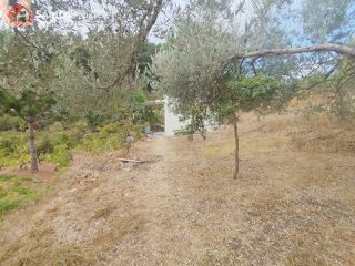 Οικόπεδο 1.520 τ.μ. για πώληση, Ν. Σάμου, Σάμος-thumb-3