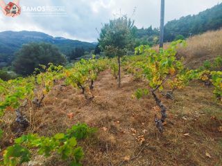 Οικόπεδο 1.520 τ.μ. για πώληση, Ν. Σάμου, Σάμος-thumb-5
