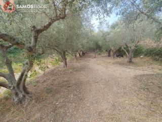 Οικόπεδο 1.520 τ.μ. για πώληση, Ν. Σάμου, Σάμος-thumb-6
