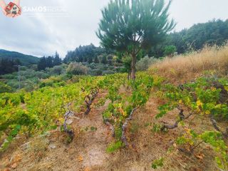 Οικόπεδο 1.520 τ.μ. για πώληση, Ν. Σάμου, Σάμος-thumb-9