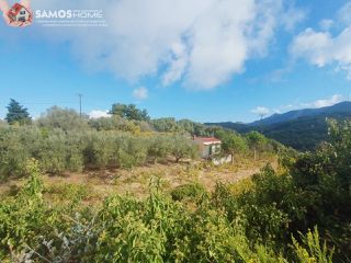 Οικόπεδο 1.520 τ.μ. για πώληση, Ν. Σάμου, Σάμος-thumb-11