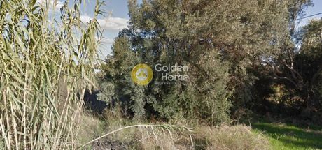 Land plot 500sqm for sale-Spata » Imeros Pefkos