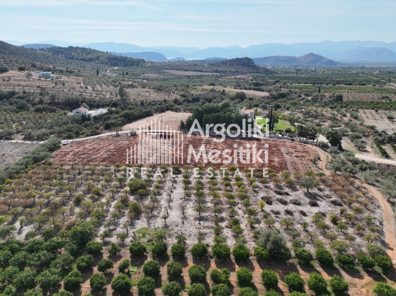 Αγροτεμάχια 4.900 τ.μ. προς πώληση, Άγιος Αδριανός