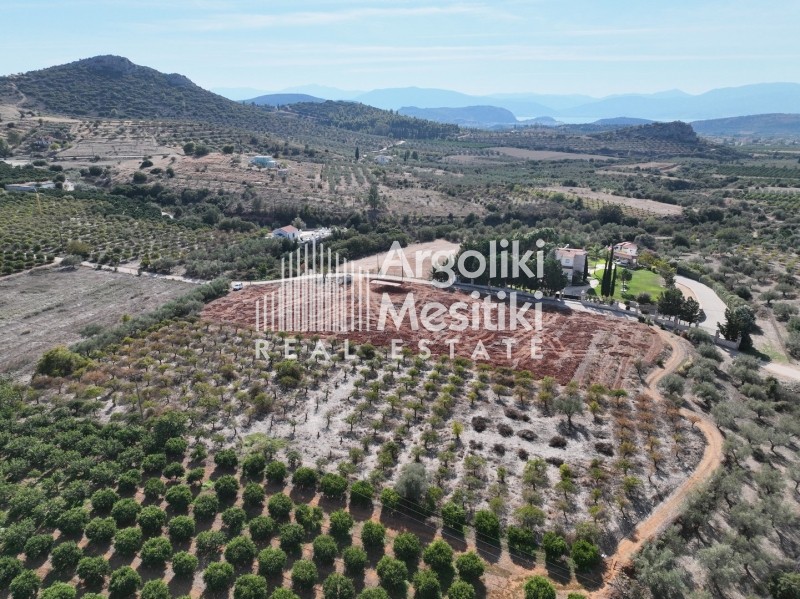 Αγροτεμάχια 4.900 τ.μ. προς πώληση, Άγιος Αδριανός