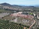 Αγροτεμάχια 4.900τ.μ. για πώληση-Νέα τίρυνθα » Άγιος αδριανός