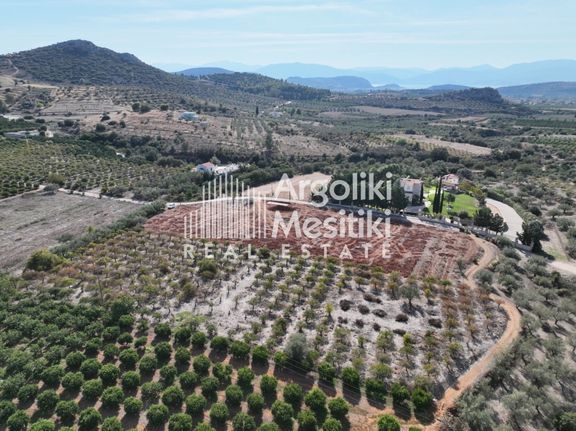 Αγροτεμάχια 4.900 τ.μ. για πώληση, Αργολίδα, Νέα Τίρυνθα