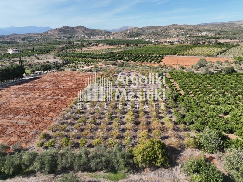 Αγροτεμάχια 4.900 τ.μ. προς πώληση, Άγιος Αδριανός