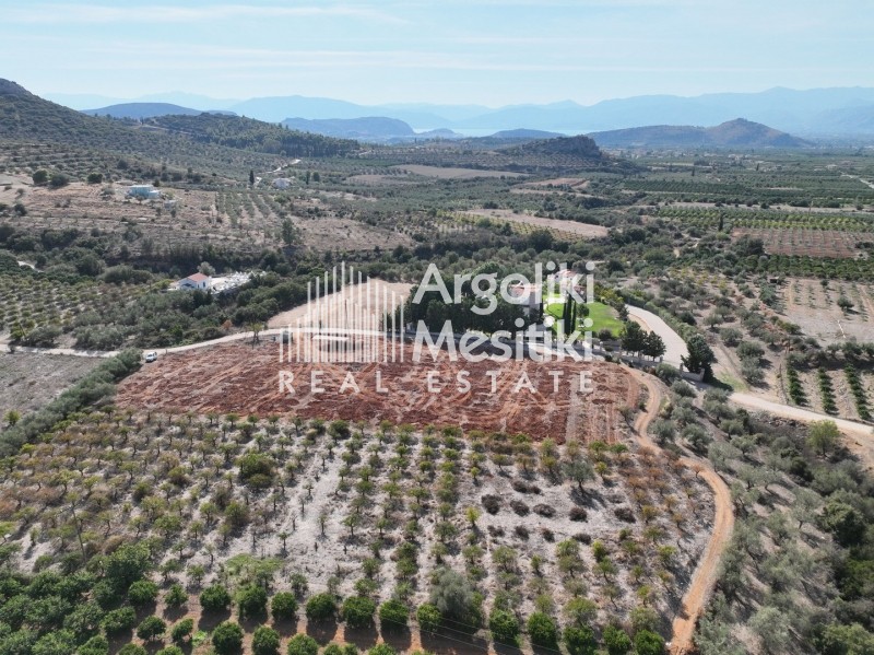 Αγροτεμάχια 4.900 τ.μ. προς πώληση, Άγιος Αδριανός