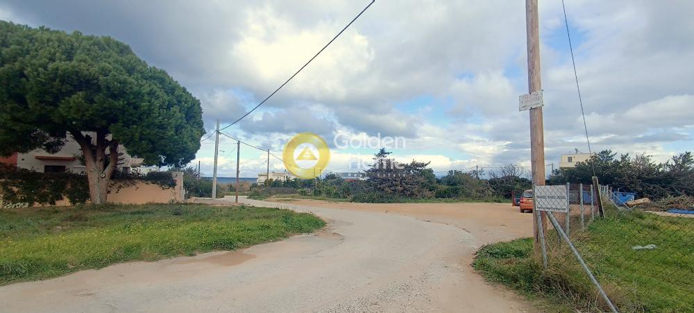 Οικόπεδο 2.000 τ.μ. προς πώληση, Μεσοβάρδα