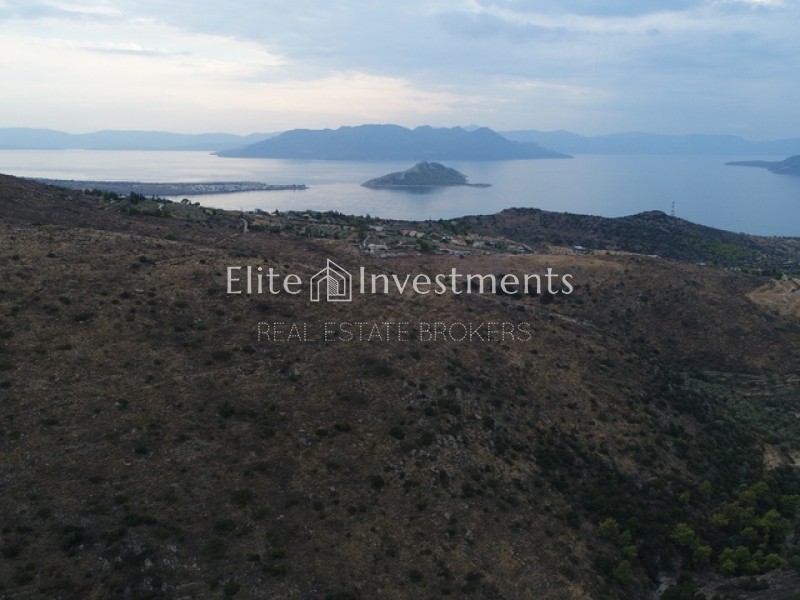 Οικόπεδο 67.000 τ.μ. πρός πώληση, Νησιά Αργοσαρωνικού, Αίγινα