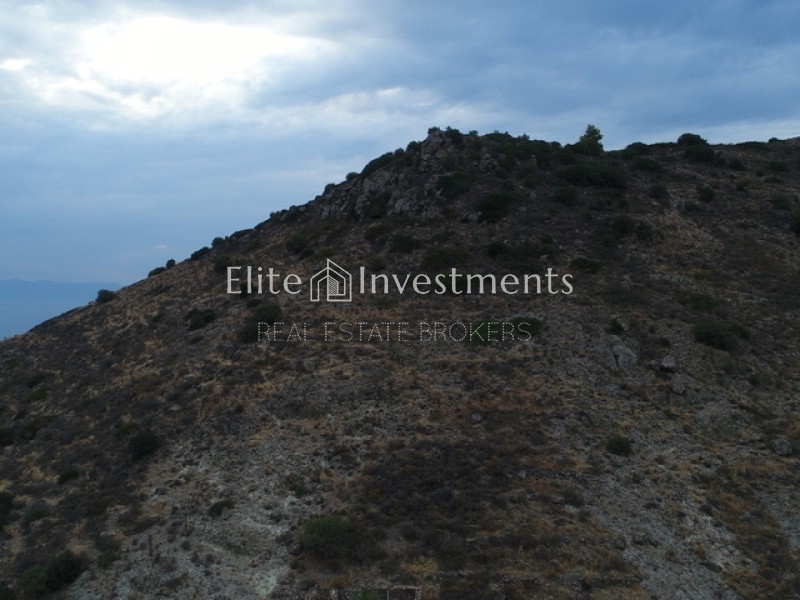 Οικόπεδο 67.000 τ.μ. πρός πώληση, Νησιά Αργοσαρωνικού, Αίγινα