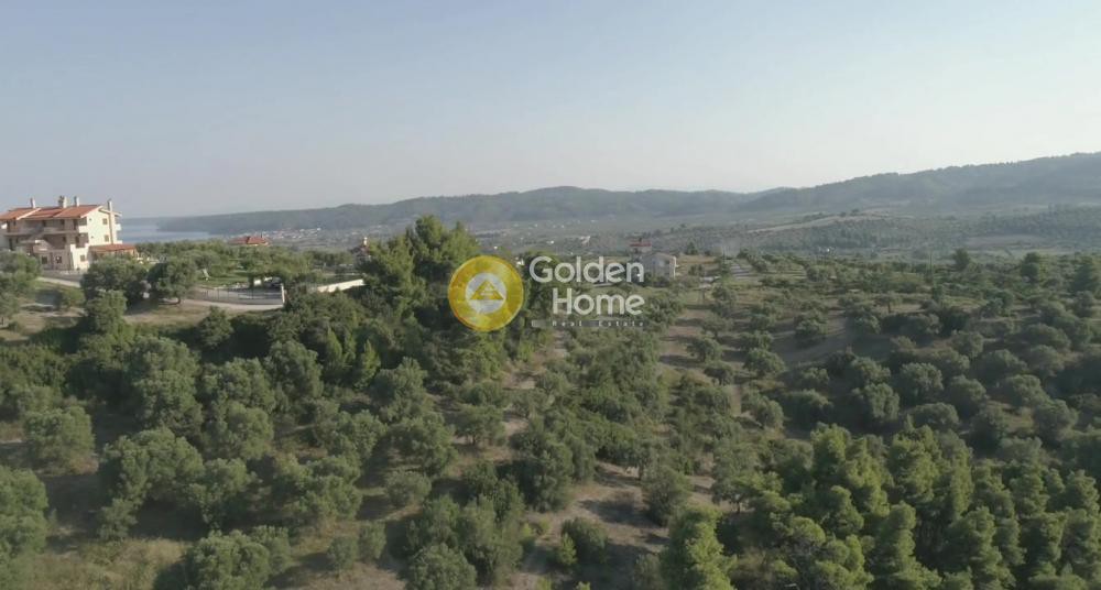 Αγροτεμάχια 9.427 τ.μ. προς πώληση, Καλάνδρα