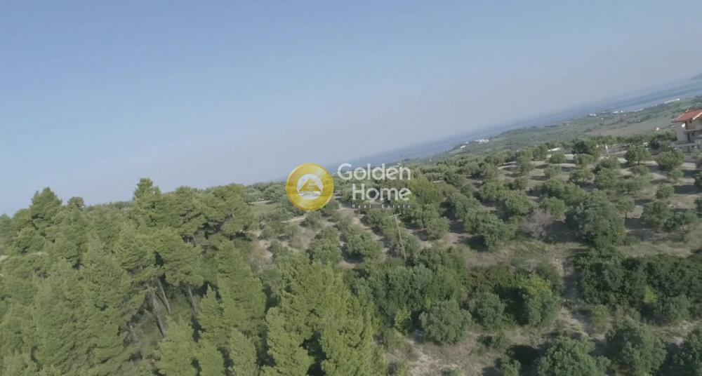 Αγροτεμάχια 9.427 τ.μ. προς πώληση, Καλάνδρα