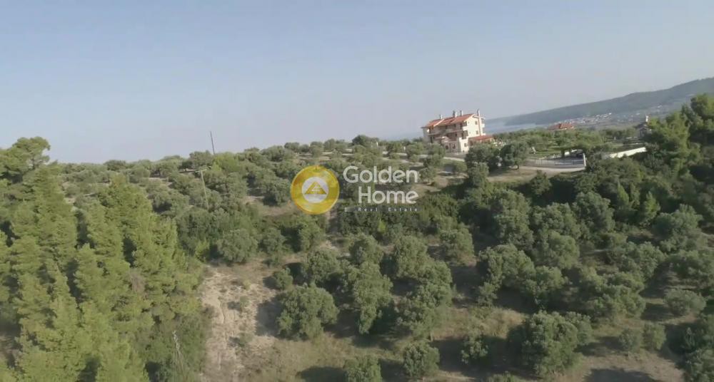 Αγροτεμάχια 9.427 τ.μ. προς πώληση, Καλάνδρα