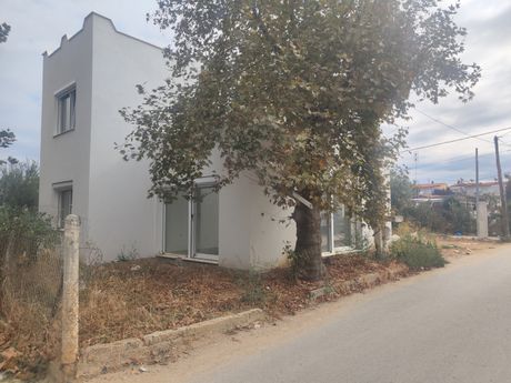 Μονοκατοικία 150τ.μ. για πώληση-Ορφανό » Παραλία οφρυνίου