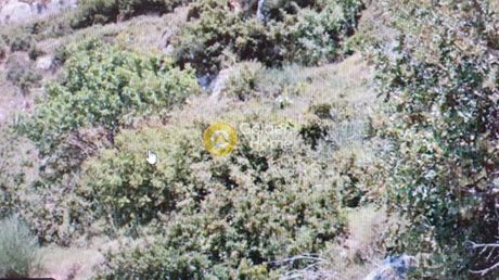 Land plot 628sqm for sale-Kefalonia » Eleioi-Pronoi