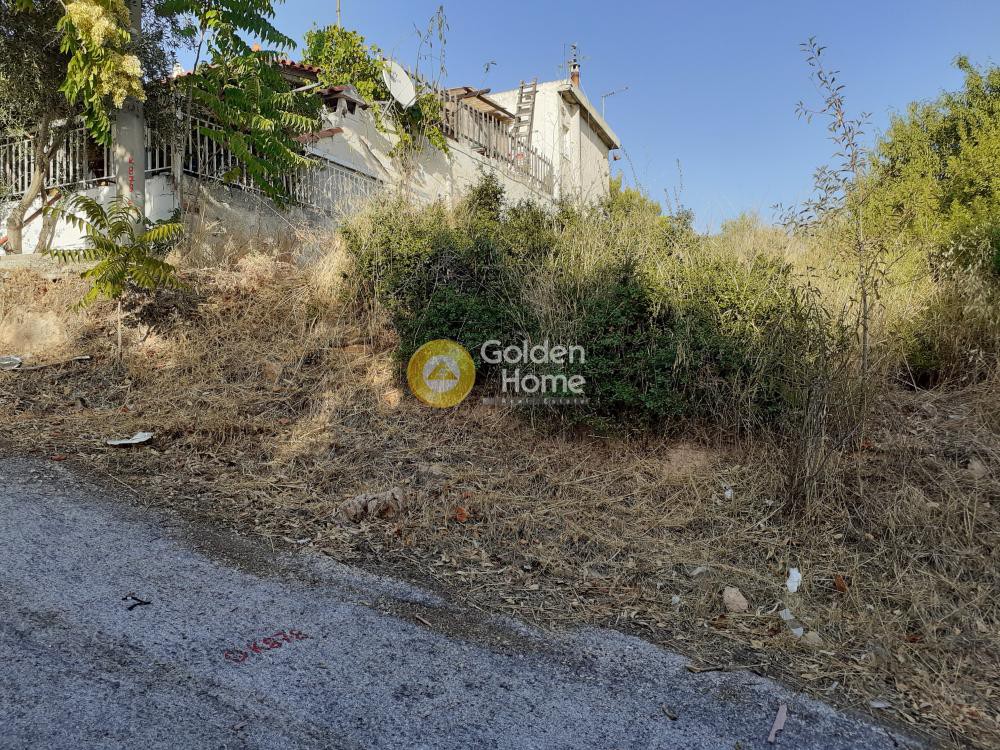 Οικόπεδο 282 τ.μ. προς πώληση, Ανθούσα Αττικής