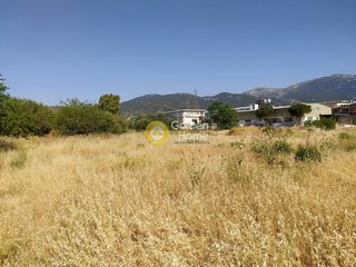 Οικόπεδο 2.500 τ.μ. για πώληση