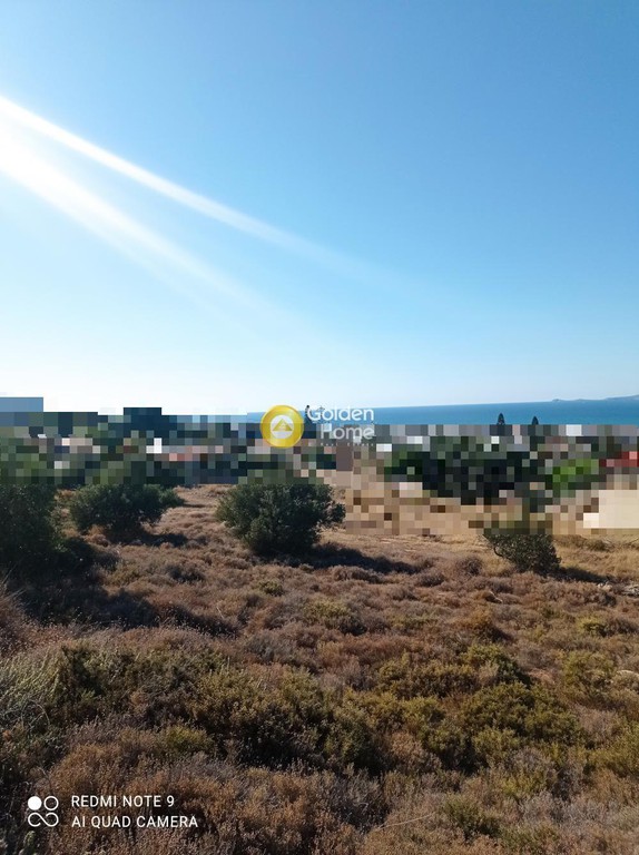 Οικόπεδο 5.000 τ.μ. προς πώληση, Βαθειανός Κάμπος