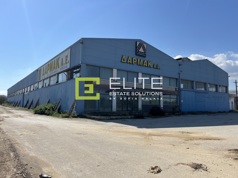 Βιομηχανικός χώρος 4.355 τ.μ. πρός πώληση, Μαγνησία, Φερών