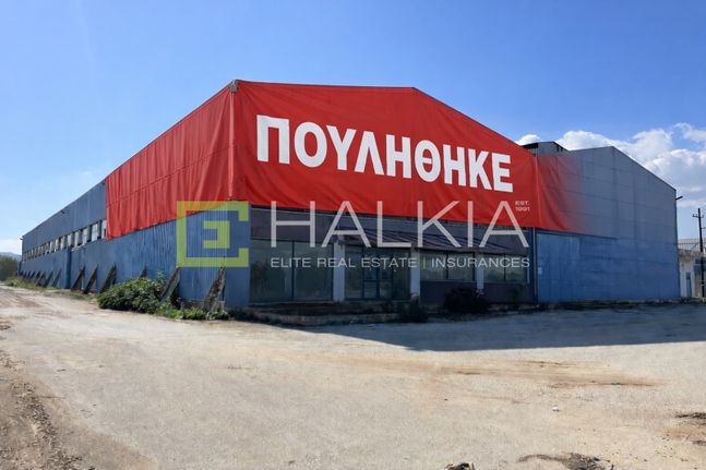 Industrial space 4.355 sqm for sale, Magnesia, Feron