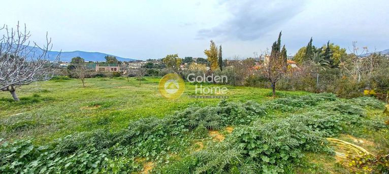 Οικόπεδο 800 τ.μ. για πώληση, Αθήνα - Ανατολικά Προάστια, Σπάτα
