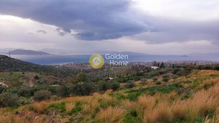 Οικόπεδο 4.650 τ.μ. για πώληση