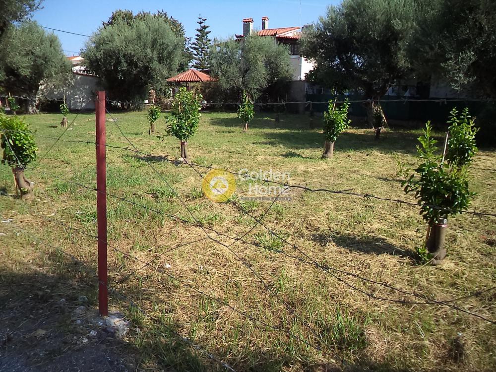 Οικόπεδο 689 τ.μ. προς πώληση, Διακοφτό