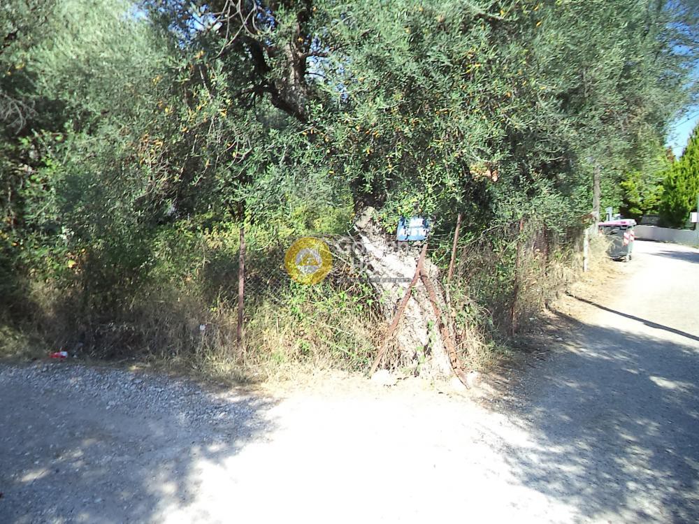 Οικόπεδο 689 τ.μ. προς πώληση, Διακοφτό
