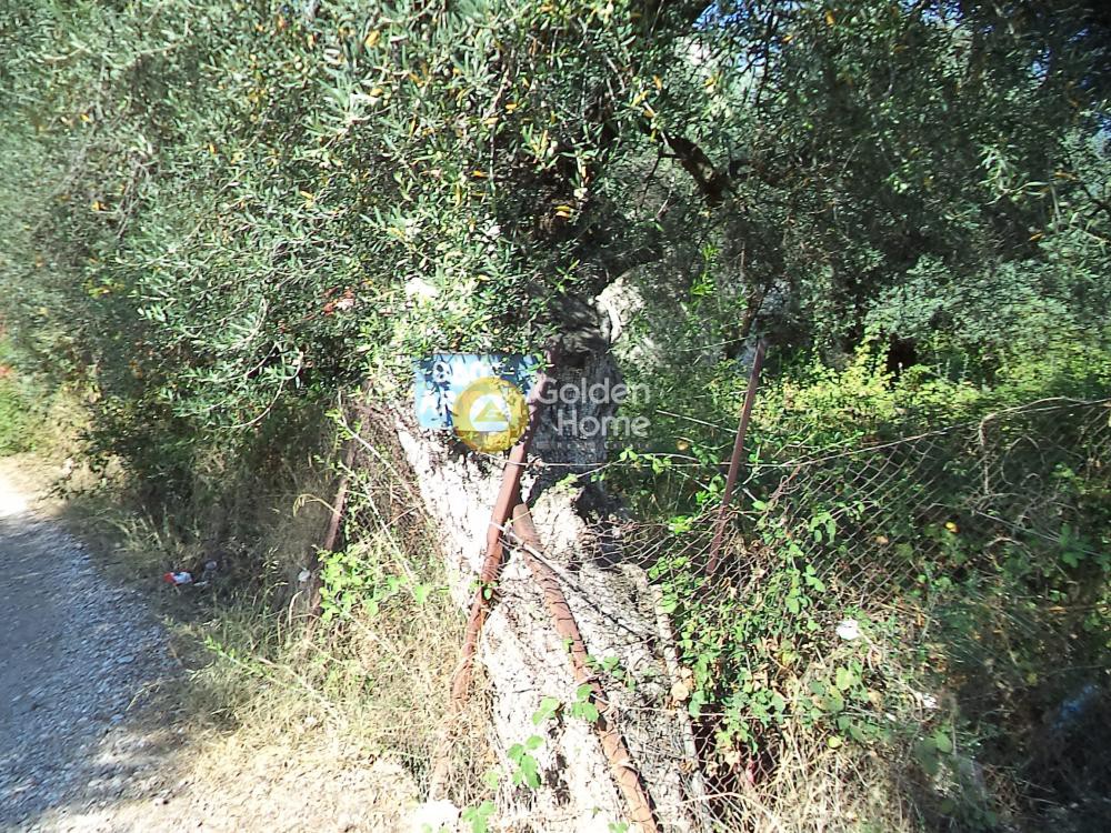 Οικόπεδο 689 τ.μ. προς πώληση, Διακοφτό
