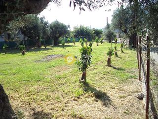 Οικόπεδο 689 τ.μ. για πώληση