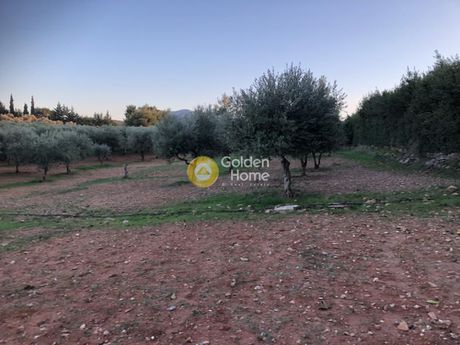 Parcel 10.662sqm for sale-Rodopoli