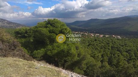 Land plot 400sqm for sale-Vilia » Agios Nektarios