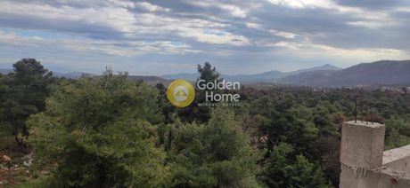 Maisonette 350sqm for sale-Afidnes » Agia Triada