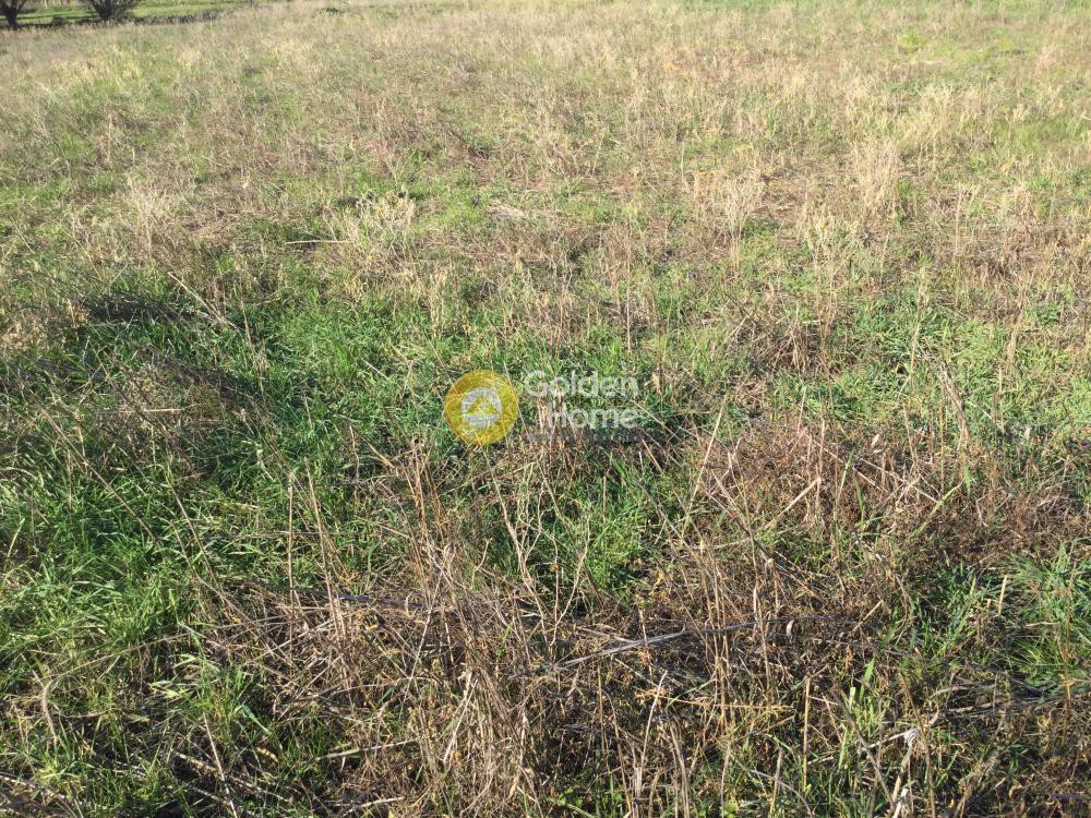 Αγροτεμάχια 10.000 τ.μ. προς πώληση, Σωζόπολη