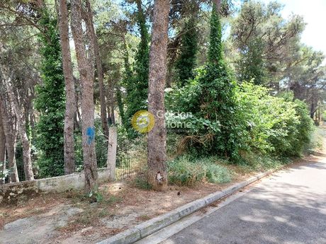 Οικόπεδο 2.020τ.μ. για πώληση-Αχαρνές » Θρακομακεδόνες