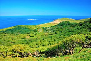 Ξενοδοχείο 266 τ.μ. για πώληση, Ν. Λέσβου, Άγιος Ευστράτιος-thumb-2