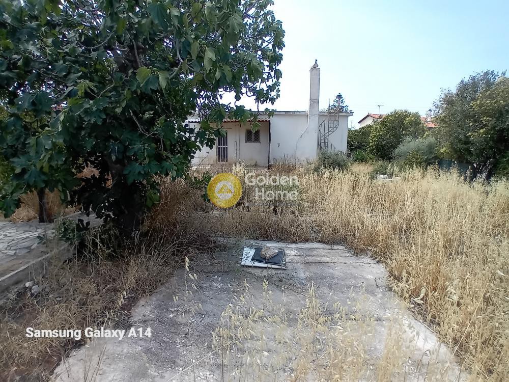 Οικόπεδο 850 τ.μ. προς πώληση, Λαγονήσι