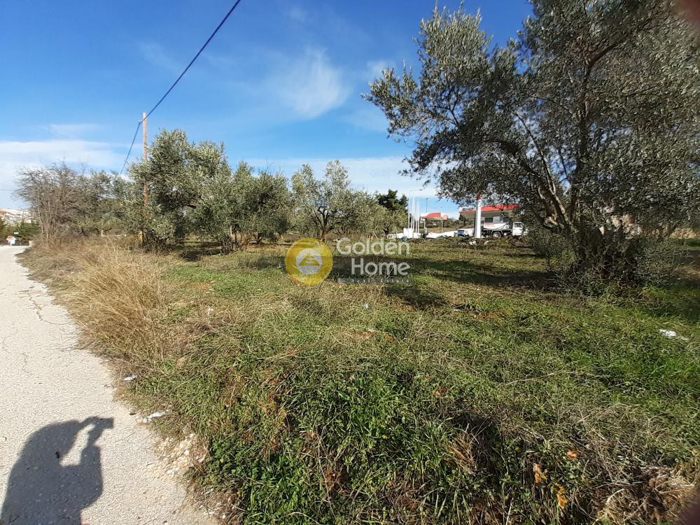 Οικόπεδο 2.368 τ.μ. προς πώληση, Καπανδρίτι Αττικής